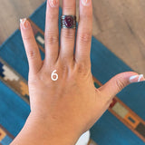 The Scarlett - Puple Spiny Oyster