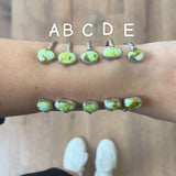 The Shealyn - Palomino