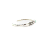 The Hudson- Sonoran Turquoise