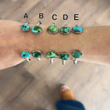 The Shealyn - Sonoran