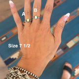 The Markham - Palomino