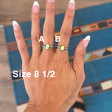 The Markham - Palomino