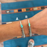 The Hudson- Sonoran Turquoise