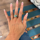 The Mayer- Sonoran (13)