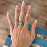 The Hubert- Sonoran (7)