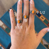 The Janet - Orange Spiny Oyster