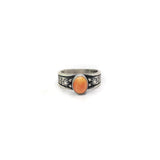 The Janet - Orange Spiny Oyster