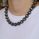 14mm Navajo Pearls- Purple Spiny Oyster (18")
