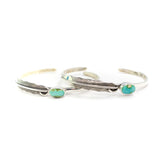 The Hudson- Sonoran Turquoise