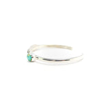 The Hudson- Sonoran Turquoise