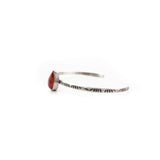 The Sharan- Red Spiny