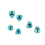 The Emilies- Sonoran