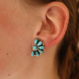The Edwards 1/2 Clusters - Turquoise
