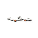 The Steffan- Orange Spiny