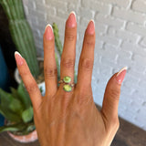 The Moore- Sonoran (8 1/2)