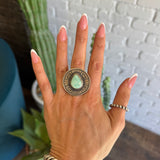 The Sechelski (8 1/2)