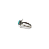 The Azliegh- Turquoise