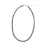 The Becker- Green (19")
