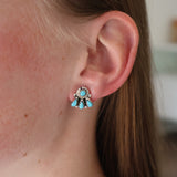 The Zuni Cluster Studs