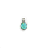 The Apallo- Sonoran Pendant