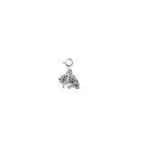The Bucking Horse Charm
